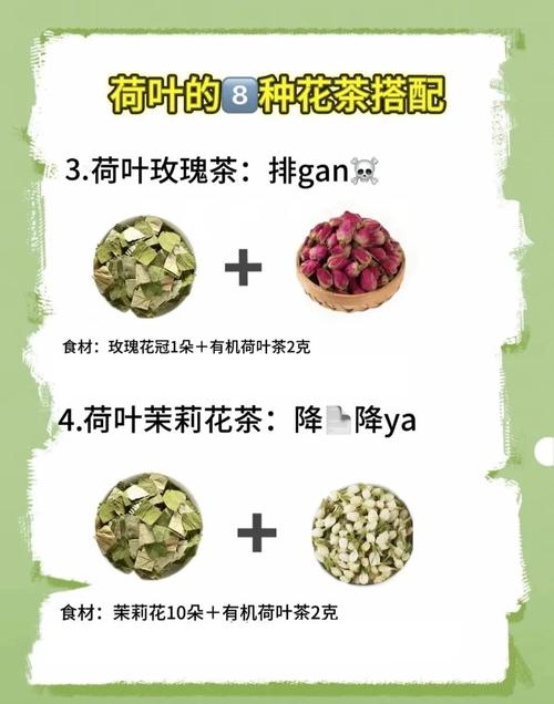 荷叶配什么减肥效果好