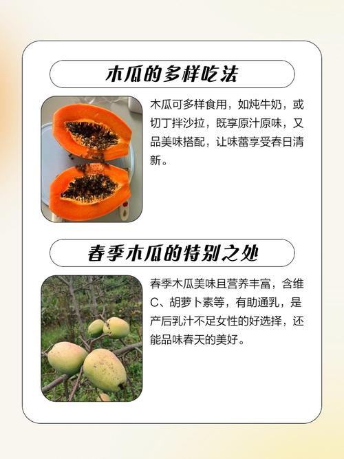 木瓜什么季节吃