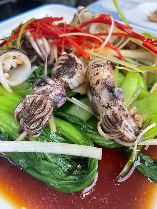 乌贼吃什么食物