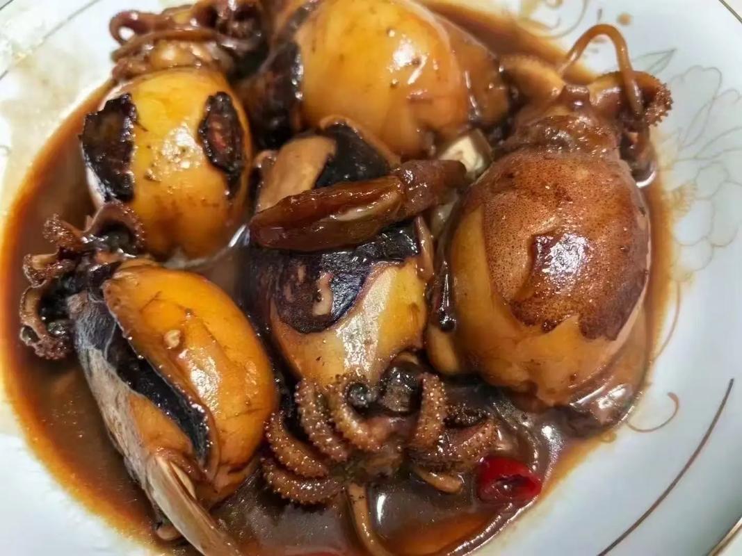 乌贼吃什么食物