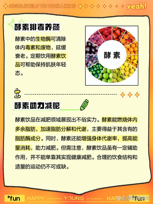 什么是酵素及功效