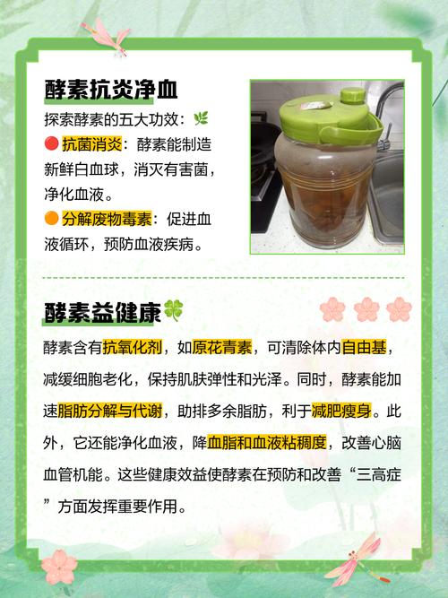 什么是酵素及功效