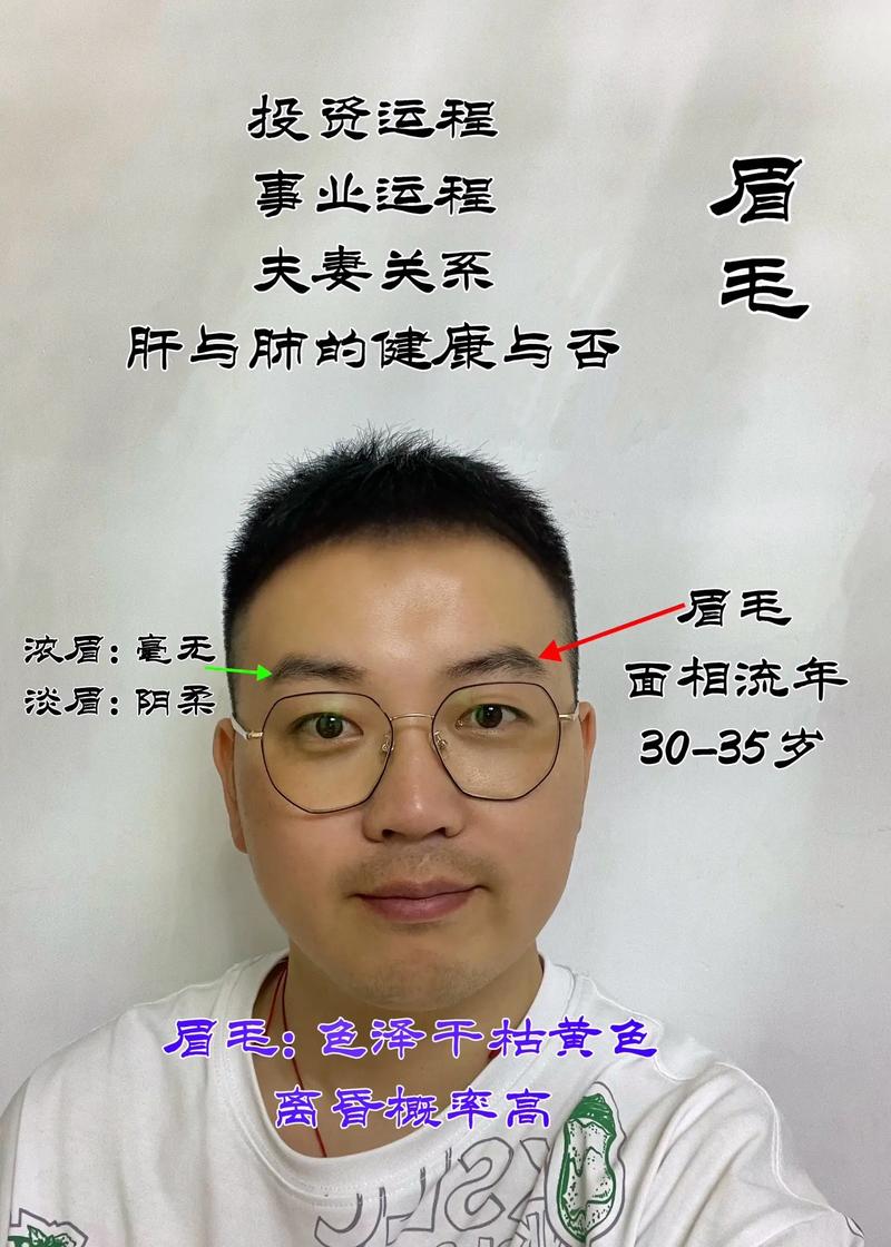 男人眉毛短代表什么