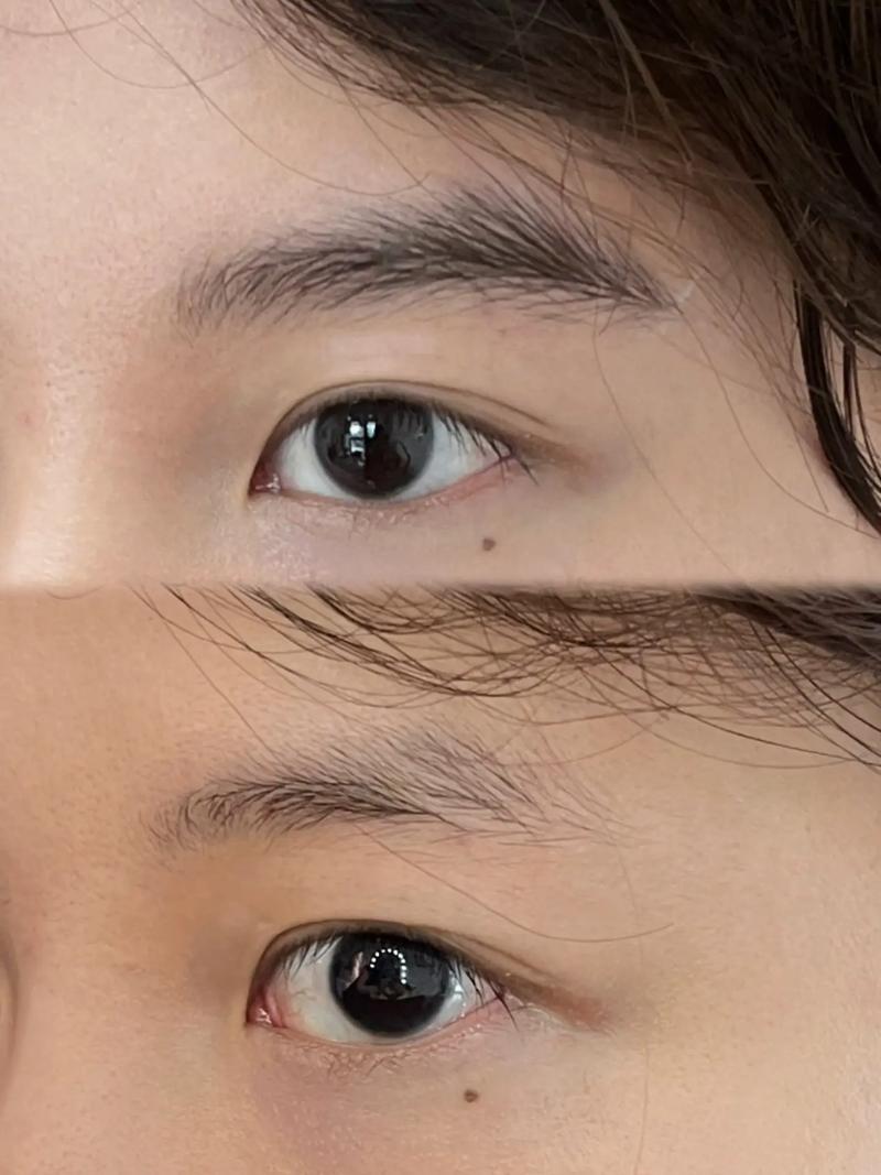 男人眉毛短代表什么