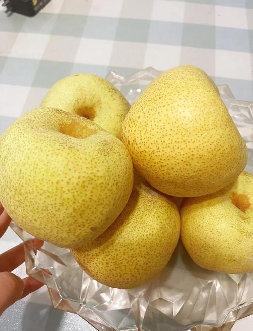 冰糖雪梨是什么梨