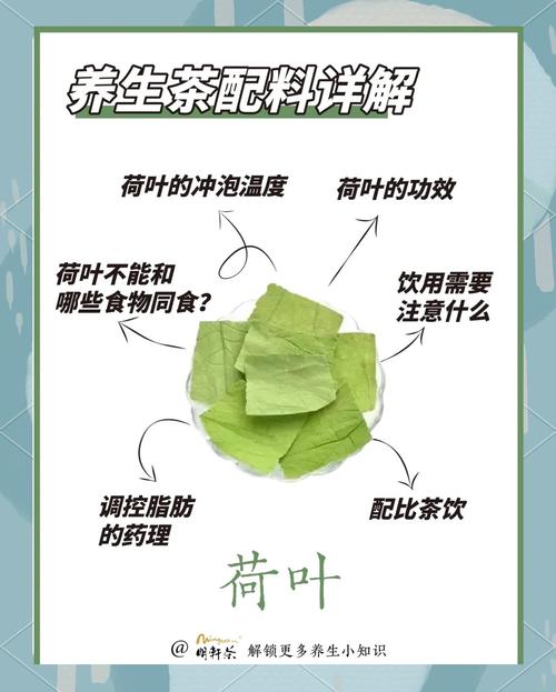 荷叶泡水有什么功效