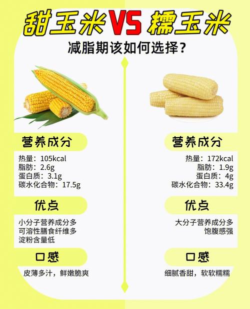 什么玉米减肥营养价值高