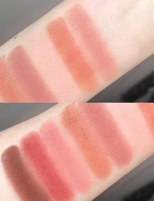 novo干枯玫瑰眼影怎么搭配