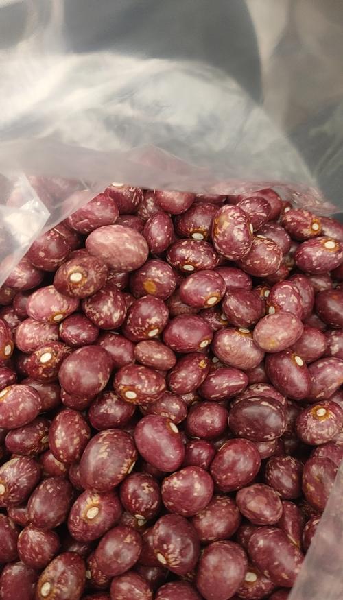 纳豆是什么样子