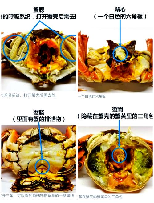 螃蟹吃了不能吃什么