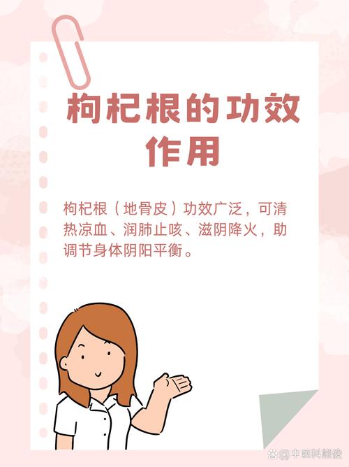 枸杞根有什么功效