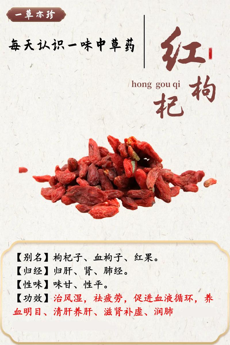 枸杞根有什么功效