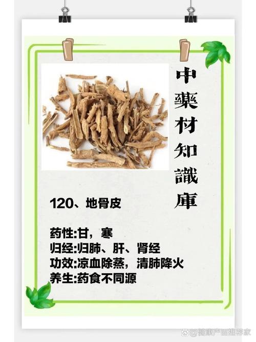 枸杞根有什么功效