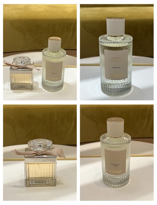 chloe最新香水价格