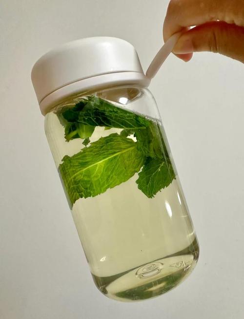 薄荷茶和什么搭配能减肥