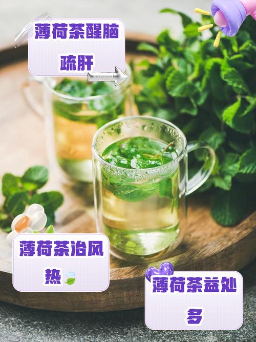 薄荷茶和什么搭配能减肥