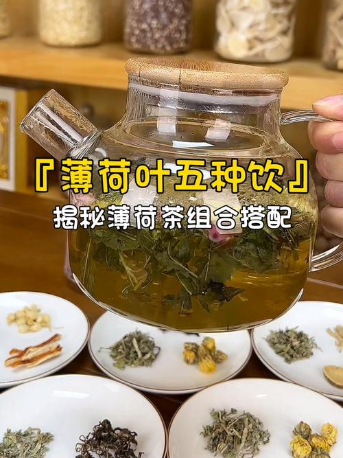 薄荷茶和什么搭配能减肥
