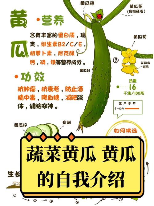 黄瓜什么功效