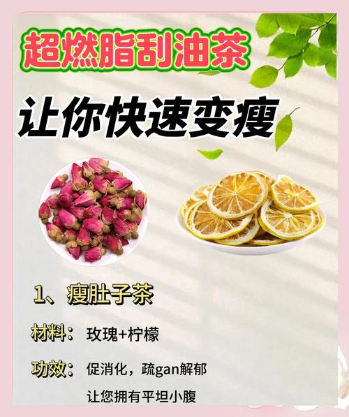 减肥去油喝什么茶