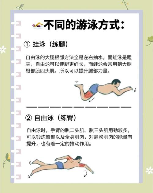 游泳为什么减肥