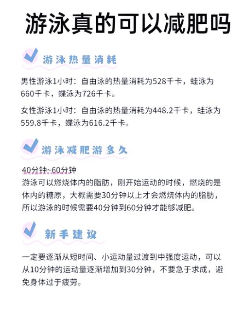 游泳为什么减肥