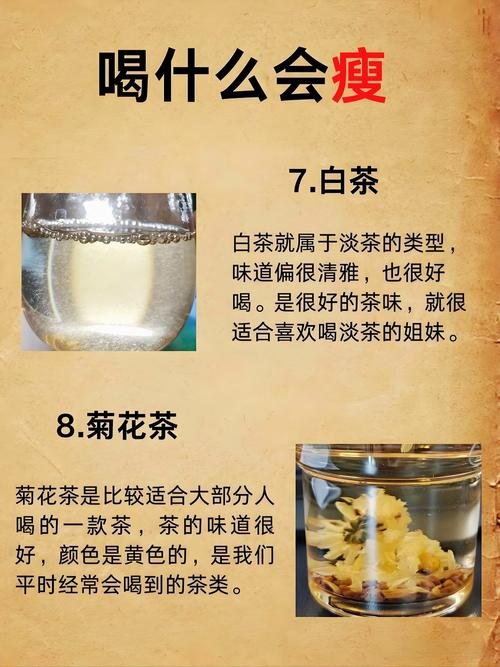 喝什么茶能减肚子