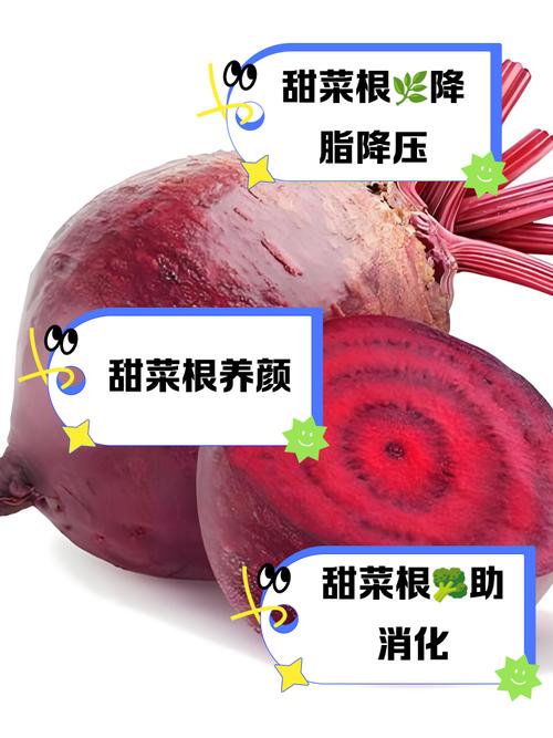 甜菜根和什么榨汁减肥