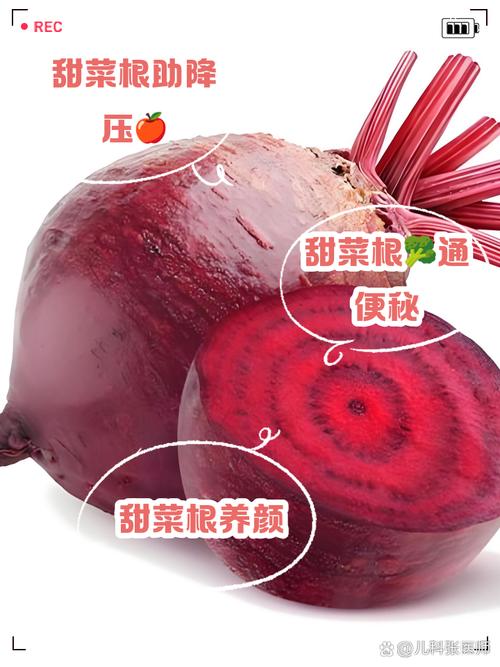 甜菜根和什么榨汁减肥