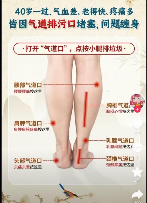 全息减肥是什么