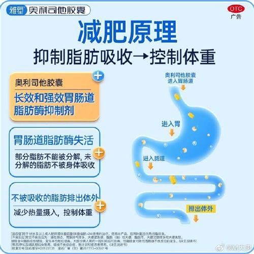 减肥药什么副作用吗