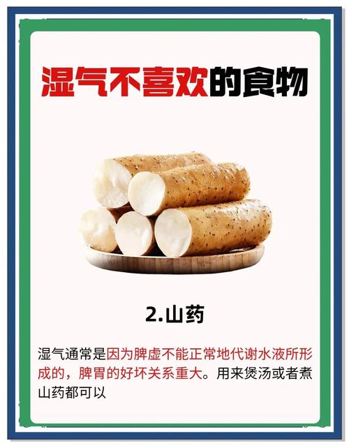 什么食物能去湿气