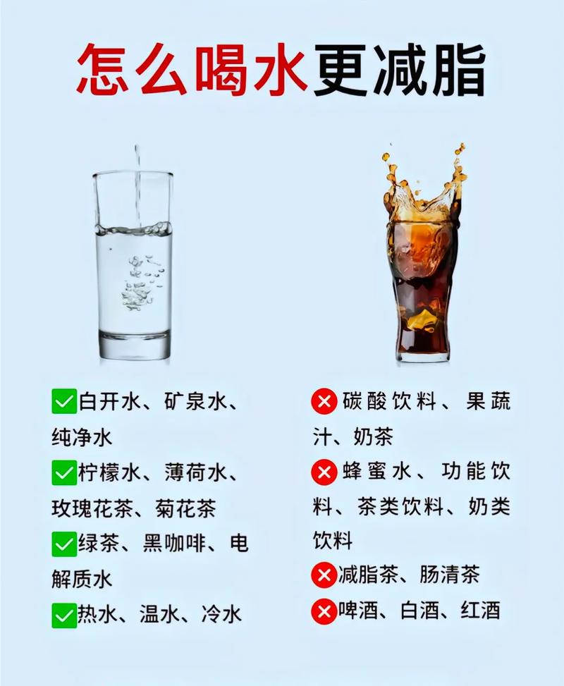 喝水为什么会减肥