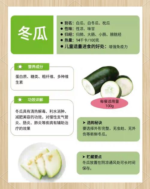 冬瓜和什么能减肥