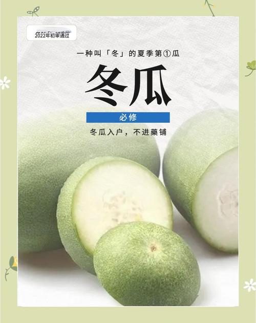 冬瓜和什么能减肥