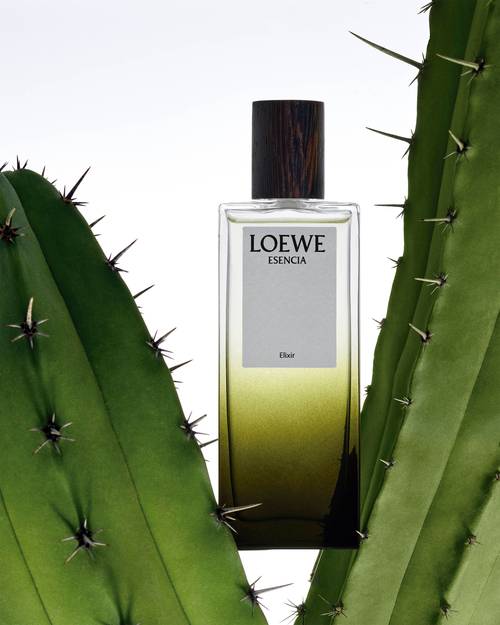 loewe最新款香水