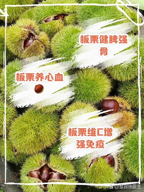 板栗吃了有什么好处