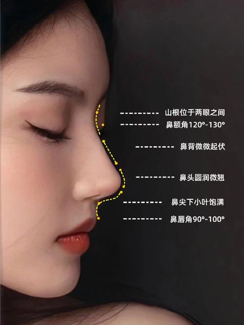 翘鼻子什么意思