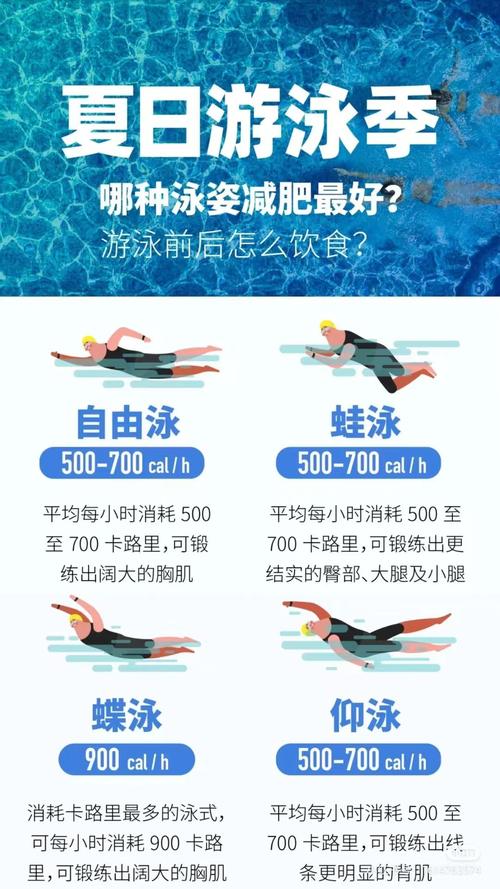 为了减肥去游泳应该注意什么