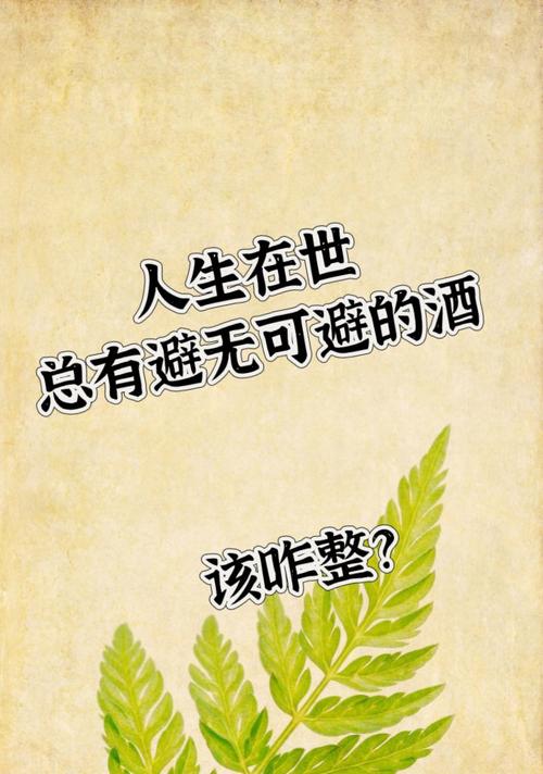 天天喝酒吃什么减肥