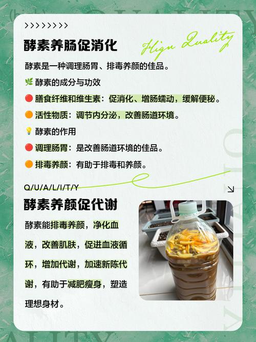 吃什么酵素减肥效果好