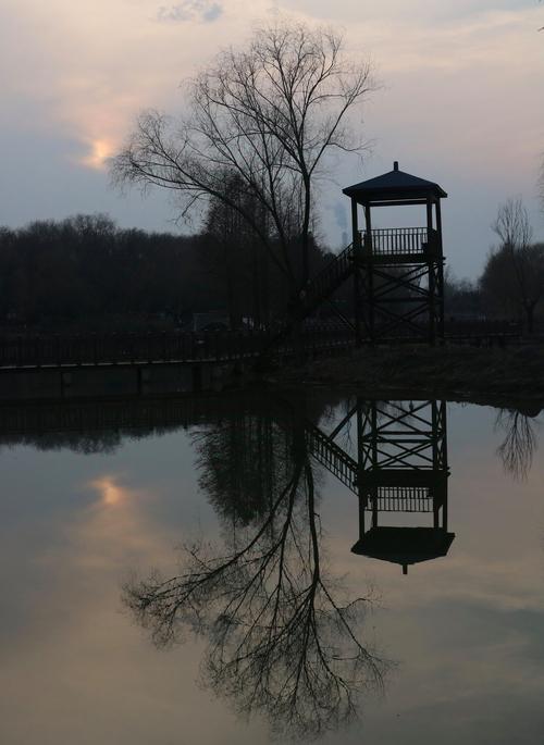 沛县摄影最新作品