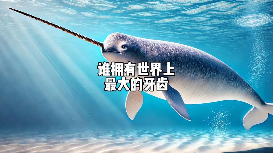 最大的牙齿叫什么