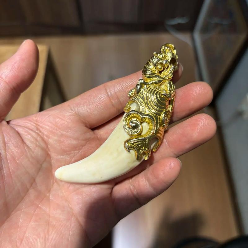 最大的牙齿叫什么