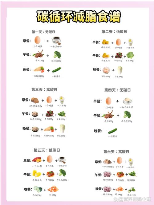 一天吃什么都快速减肥