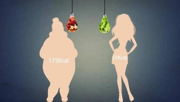 下身胖吃什么减肥