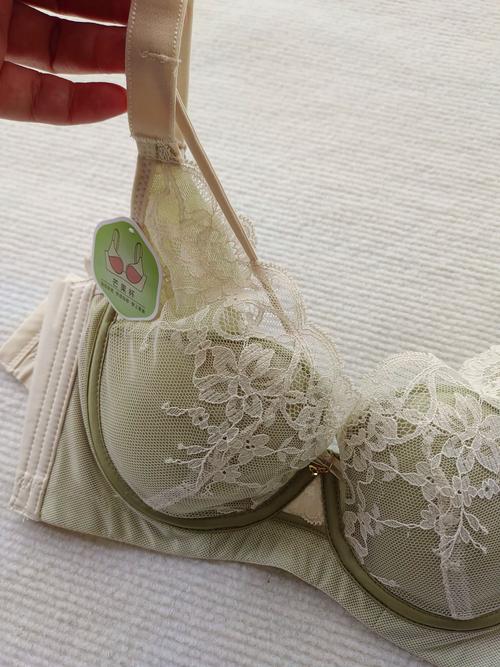 什么内衣品牌比较好