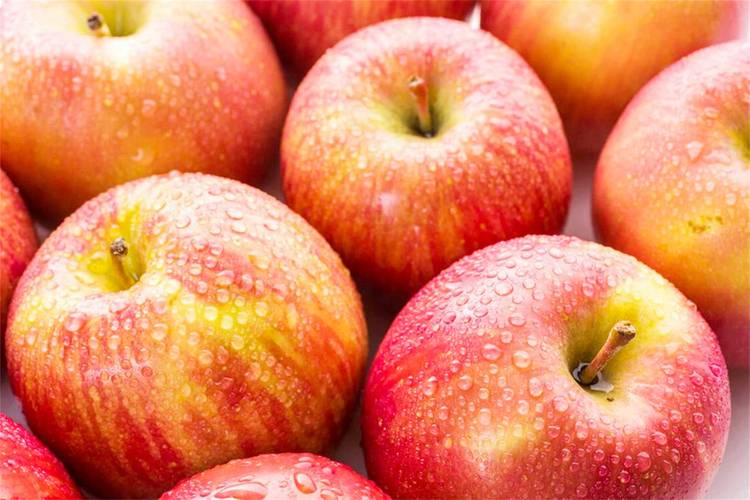 现在吃什么水果最好