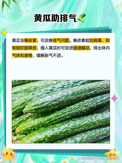 吃什么东西顺气