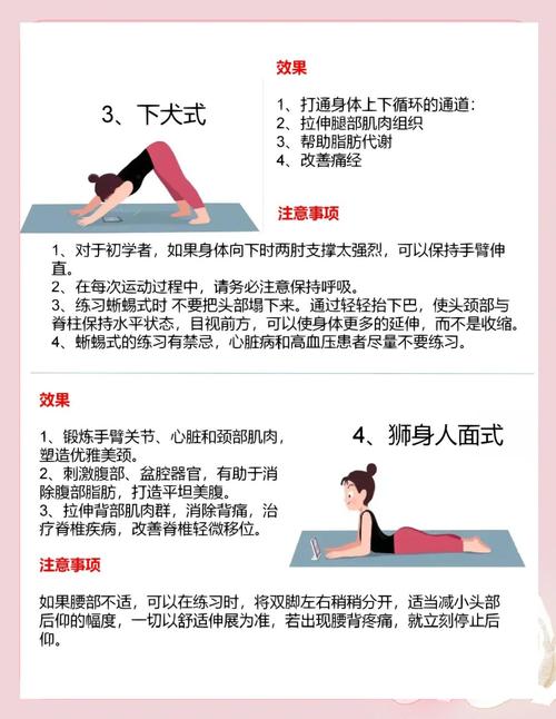 睡前什么运动最减肥