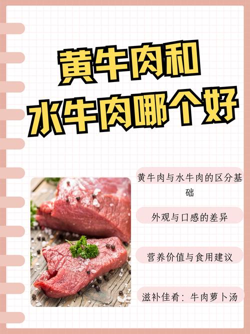 什么肉没有脂肪